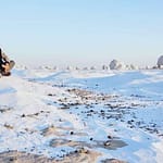 White & Black desert tour