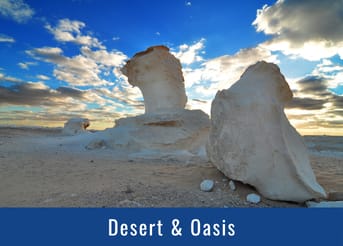 Desert & Oasis Desert & Oasis