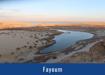 Fayoum Fayoum